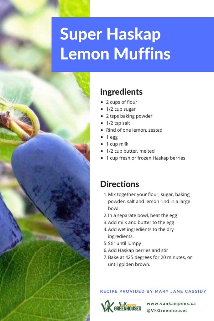 Super Haskap Lemon Muffins