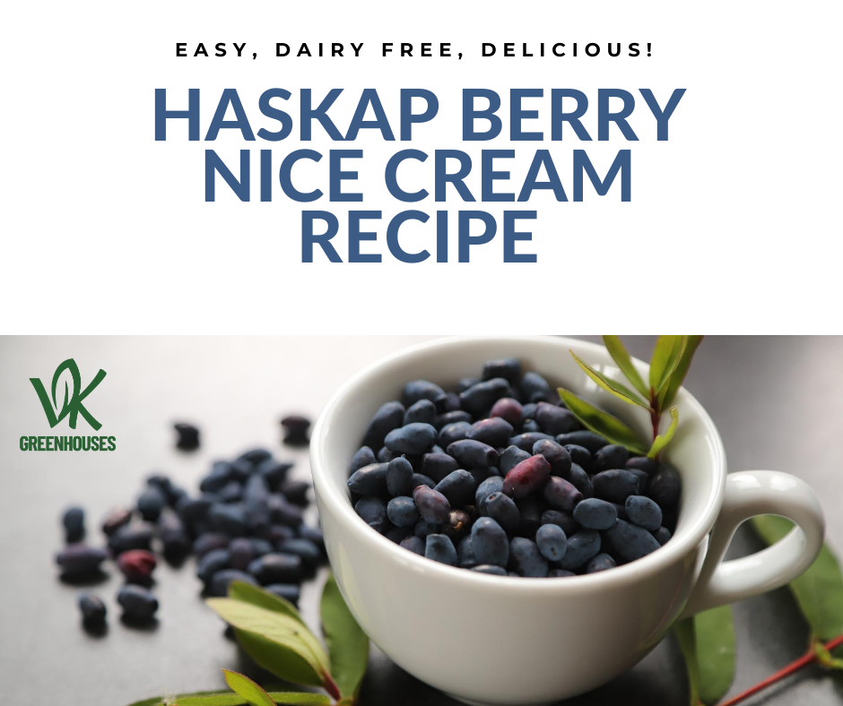 Haskap Berry Nice Cream Recipe