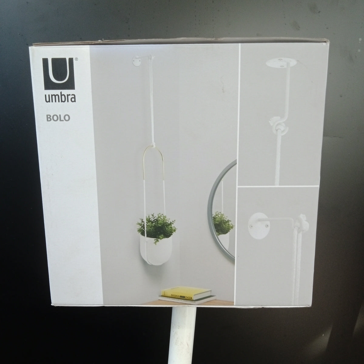 bolo hanging planter Umbra Bolo Hanging Planter – Vankampens Greenhouses