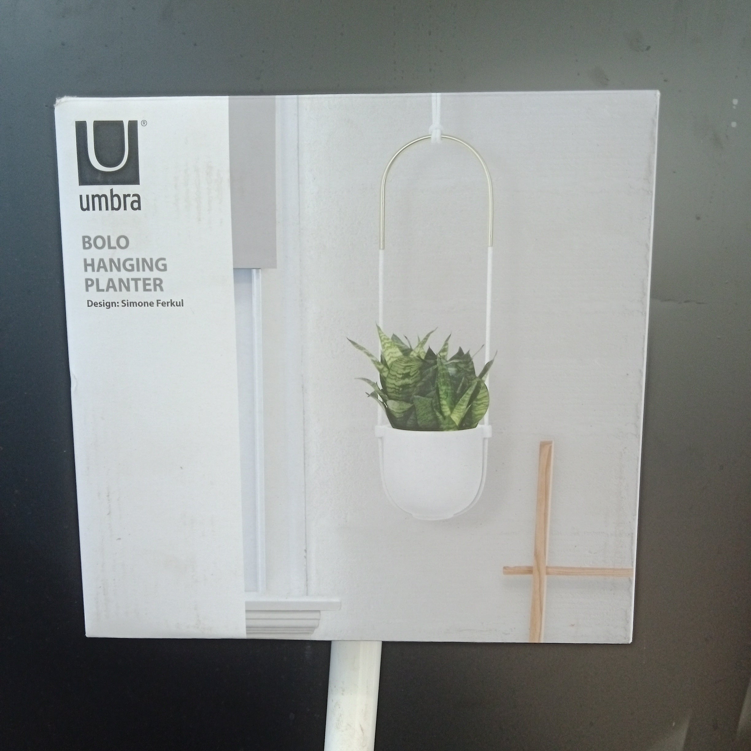 umbra bolo hanging planter Umbra Bolo Hanging Planter – Vankampens Greenhouses