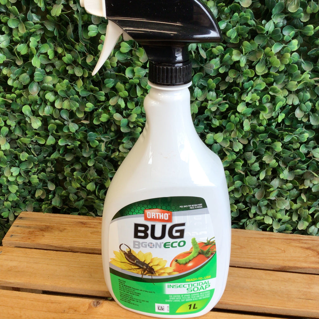 bug b gon insecticidal soap Ortho Bug Bgon Eco 1L RTU Insecticidal Soap – Vankampens Greenhouses