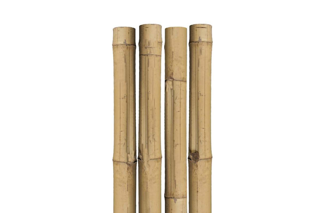 Bamboo Plant Support