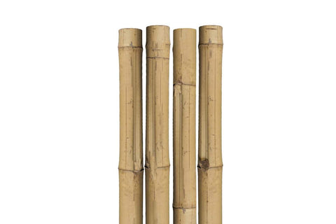 Bamboo Plant Support