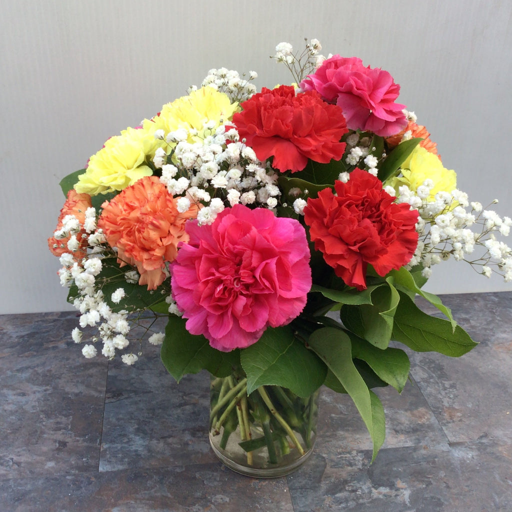 Colourful Carnations