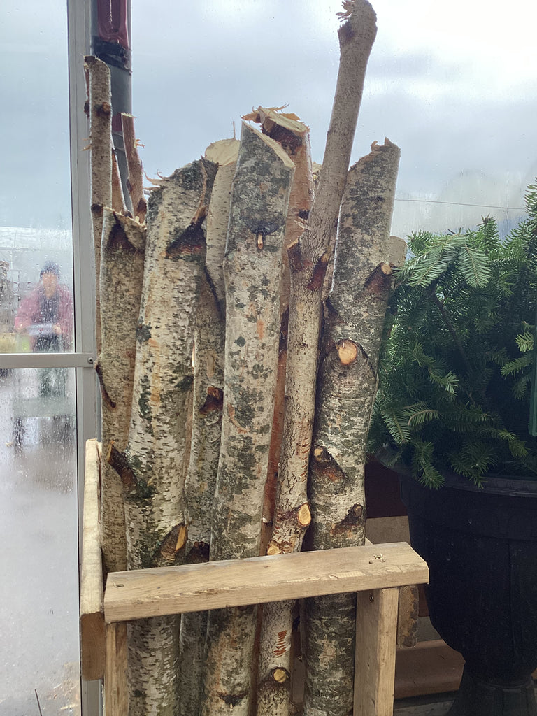 Birch Poles for Holiday Decor