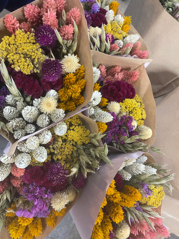 Dried- Sweet Blooms