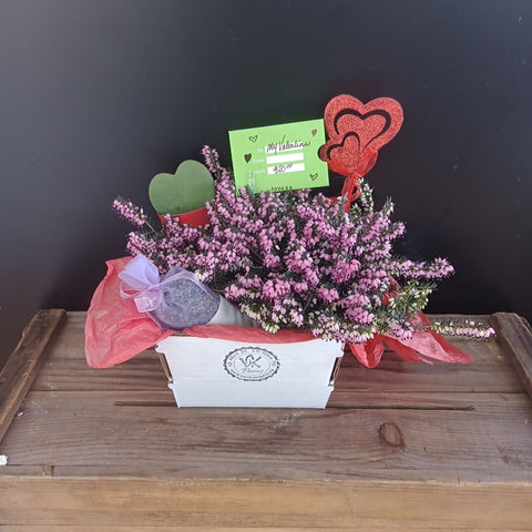 Lavender Love Gift Box (modest)