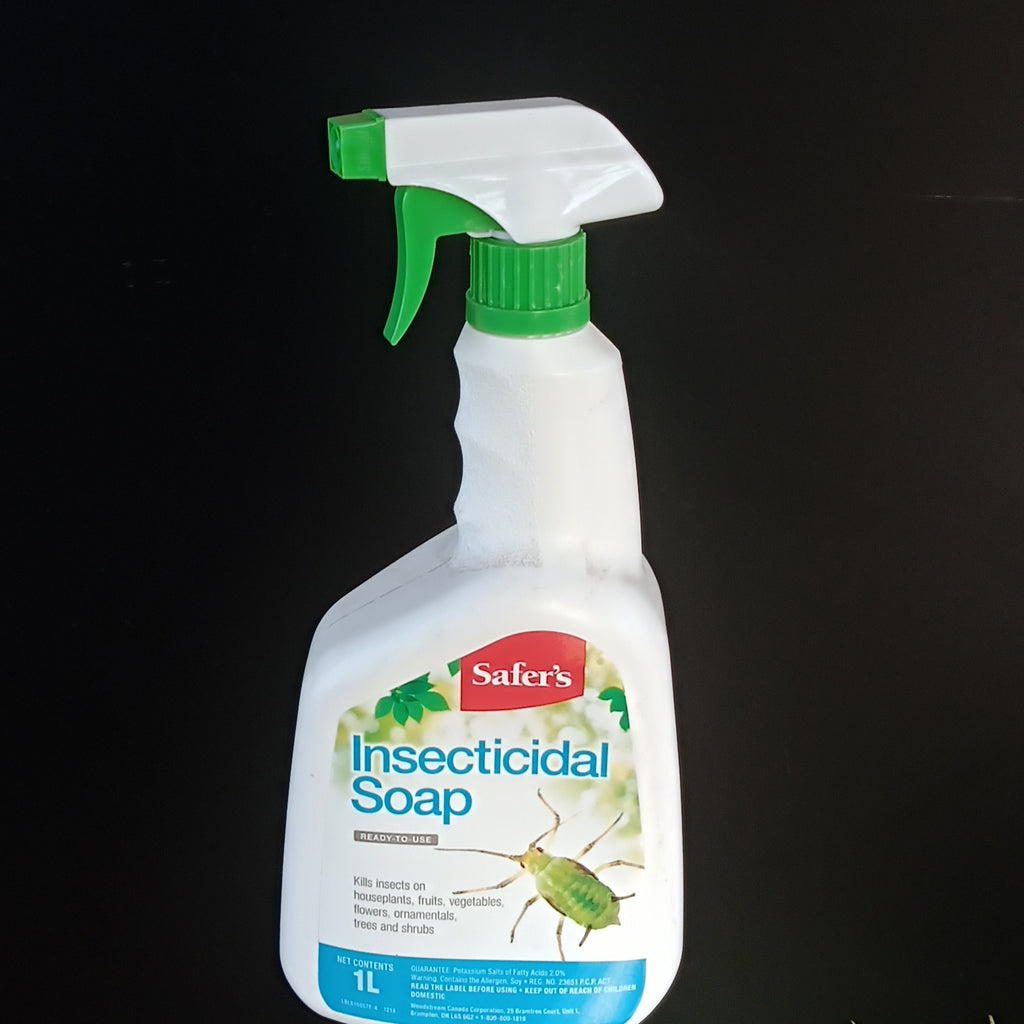 Safer's Insecticidal Soap