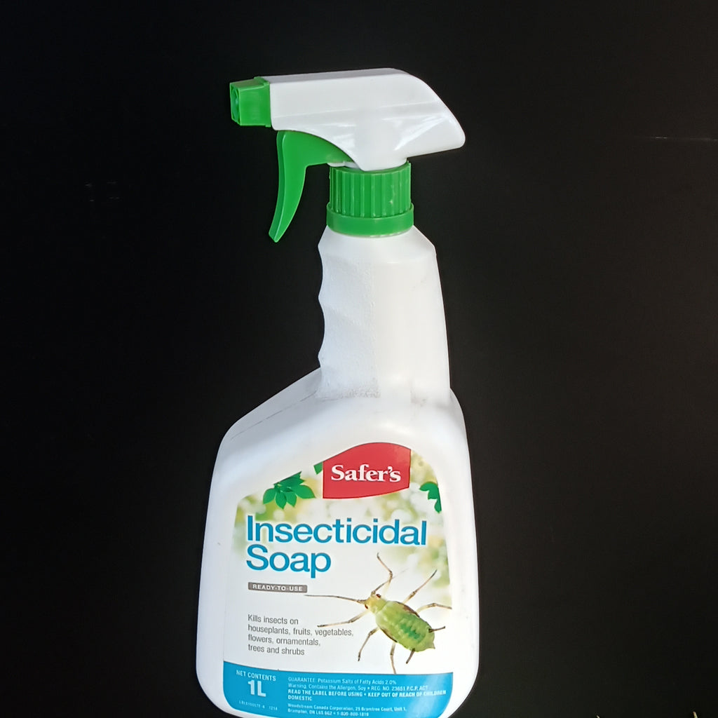 safer's end all vs insecticidal soap Safer's Insecticidal Soap – Vankampens Greenhouses