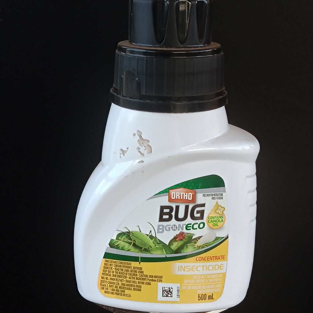 Ortho Bug Bgon Eco (canola oil) concentrated