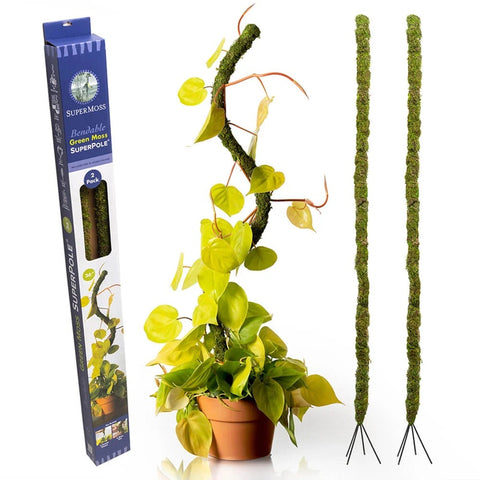 Super Pole Bendable Green Moss Poles