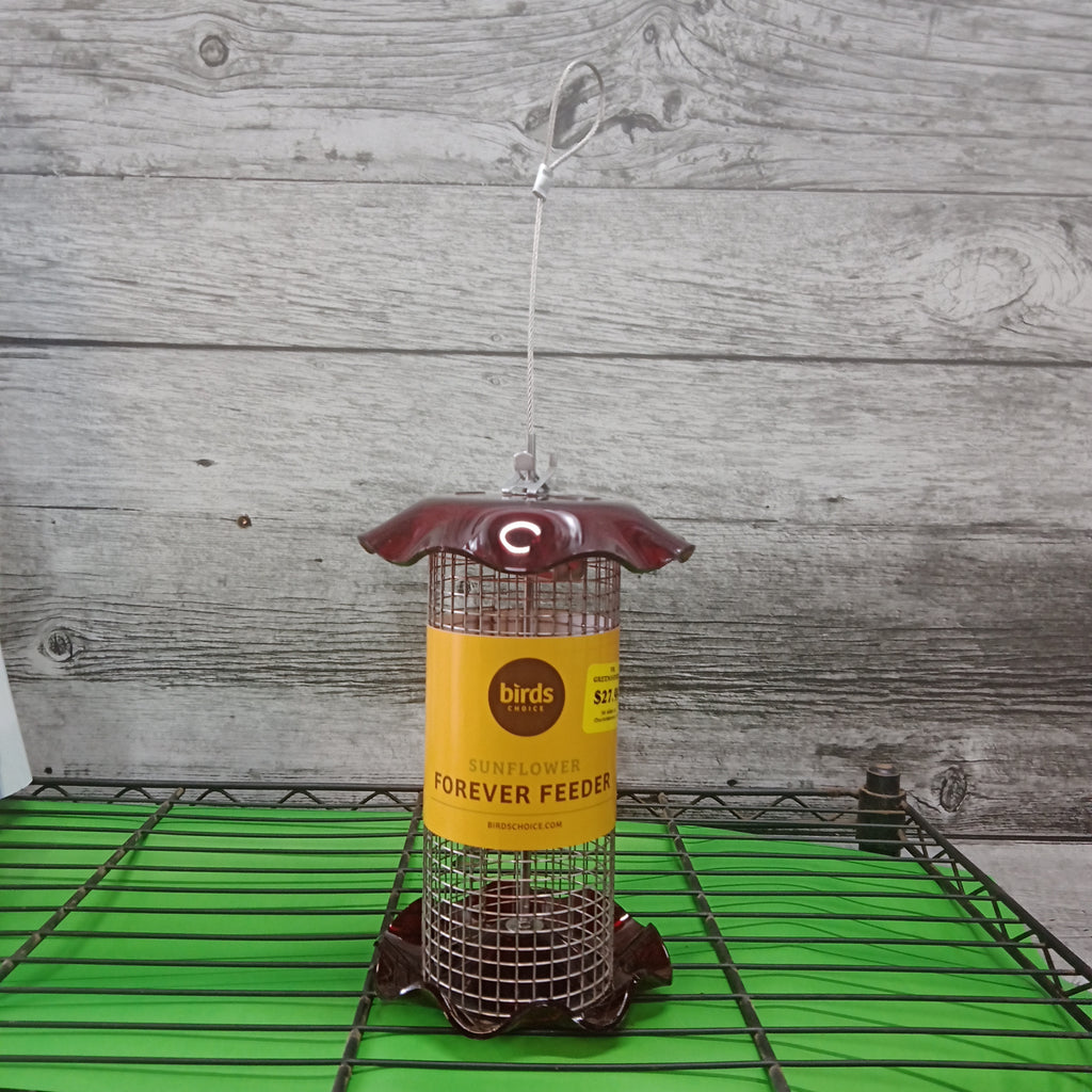 Sunflower Feeder (Red)