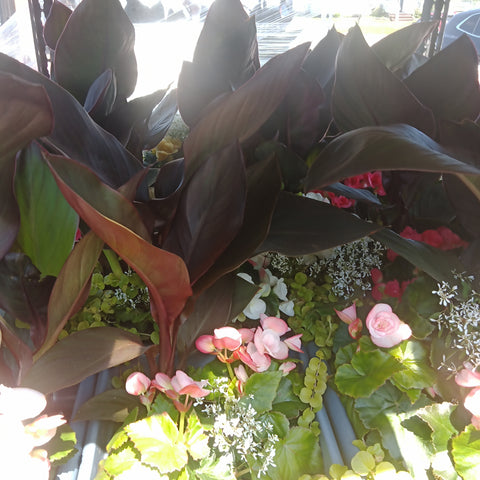 Flower Planter - 