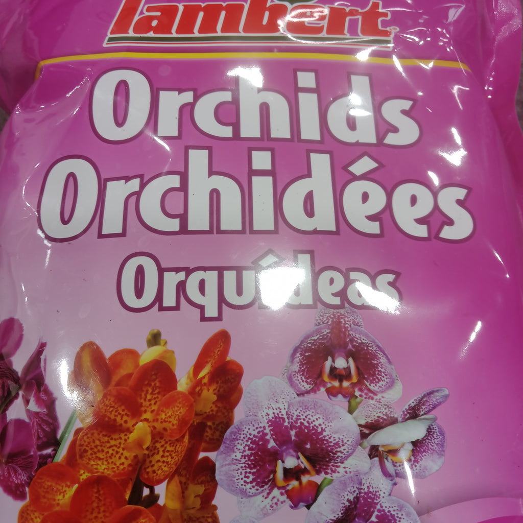 Lamberts- “Orchid Mix”