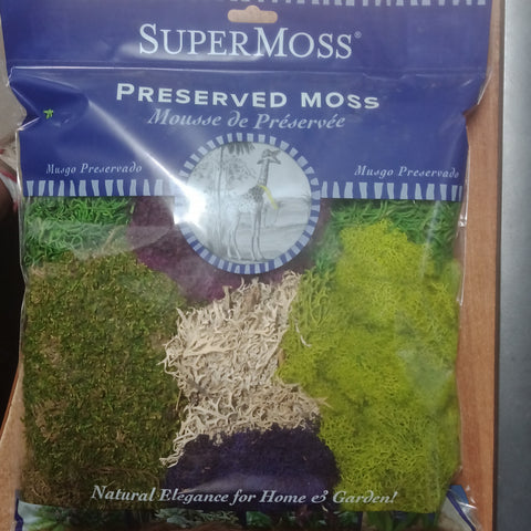 Assorted Moss