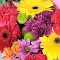 $40 Bouquet Seasonal Mix