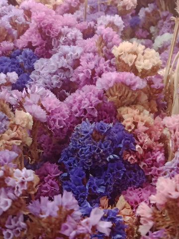 Dried VK Floral