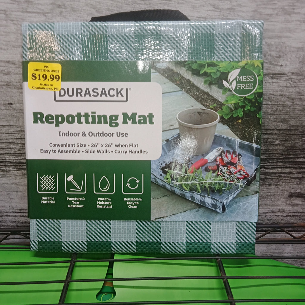 Repotting Matt 26