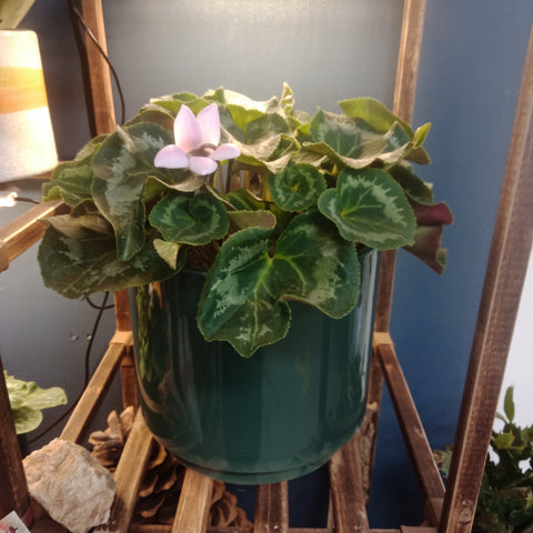 Hunter Green Glaze Pot