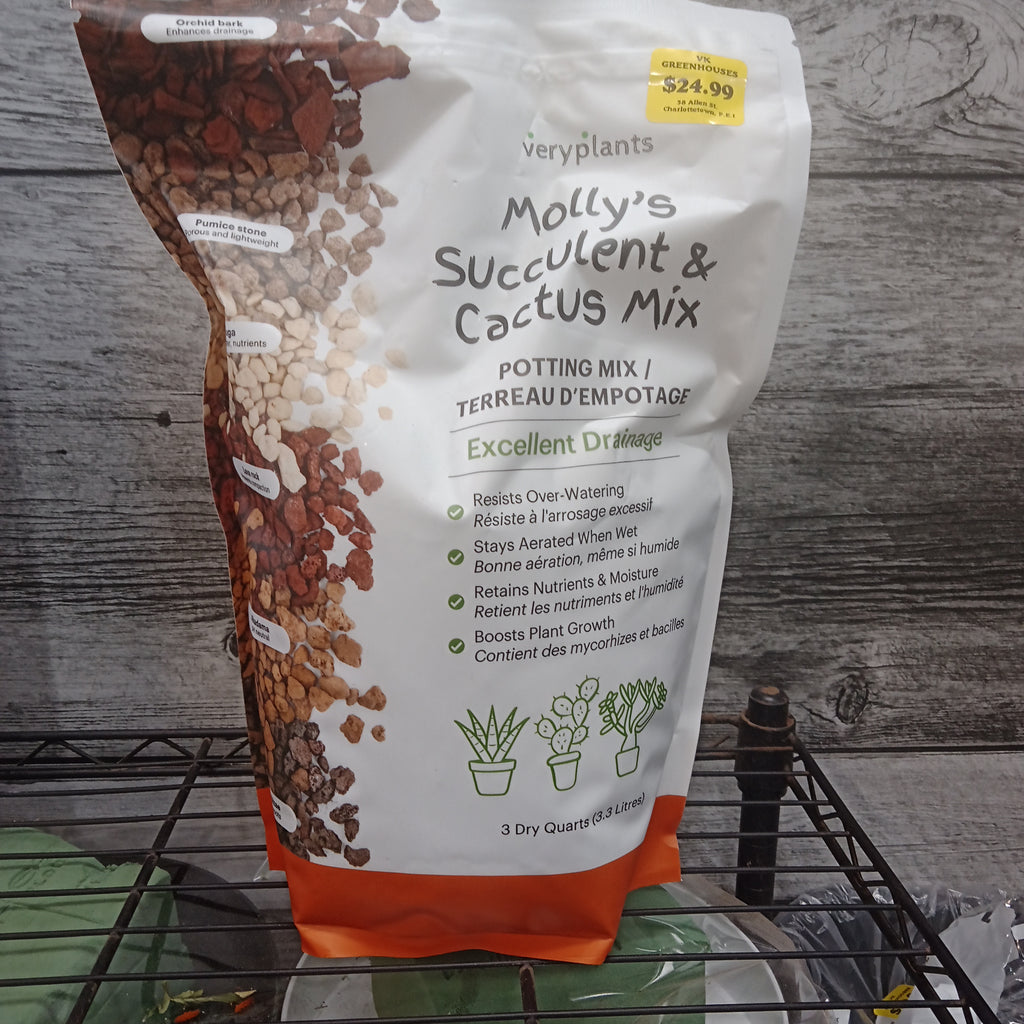 Molly's Succulent Mix 3.3L