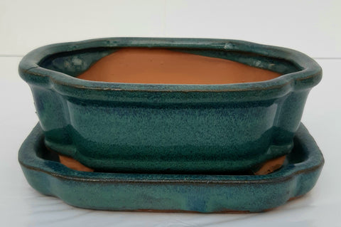 Shallow Saucer Pots Bonsai