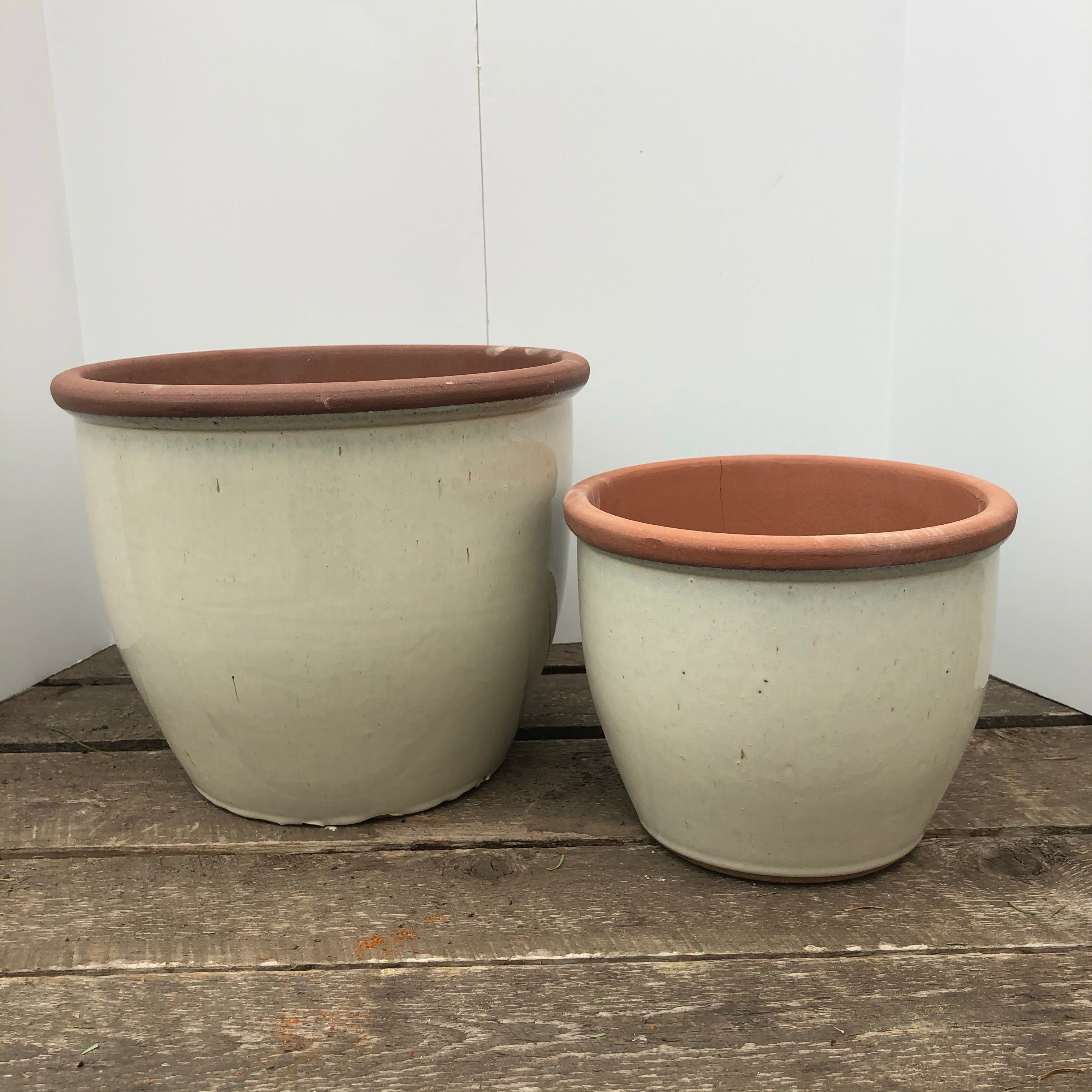 Glazed Terracotta Pot with Natural Rim – Vankampens Greenhouses